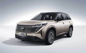 东风日产探陆大促！19.98万起享5米级合资SUV，动力总成还终身质保？
