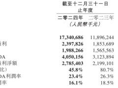 同程旅行2024年财报亮眼：营收大增45.8%，净利28亿，股价为何反跌13%？