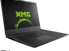 英伟达RTX 5090移动版显卡性能初露锋芒，能否超越桌面版5070？