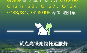 高铁宠物托运来啦！京沪高铁部分车次试点，萌宠也能同行