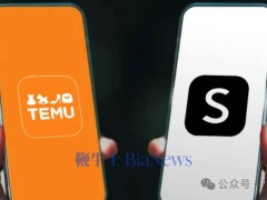 南非税务新变动，Temu与Shein南非买家需多付费？