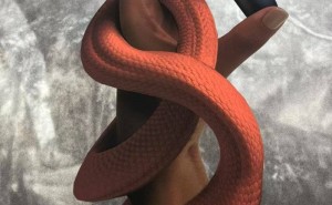唇间艺术，科技温情：UMA WANG×TOTEMIST口红套壳珍藏你的独家记忆