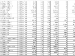 2024年度乘用车企积分大考：比亚迪领跑，29家车企燃料消耗积分告负
