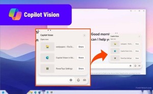 Win11新技能：Copilot AI助你高效搜索文件，轻松分享屏幕