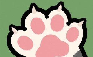 被猫抓伤竟可能染上“猫抓病”？快来了解这个知识！