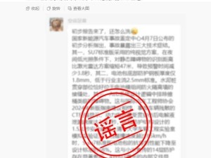 小米官方辟谣：所谓“国家新能源事故鉴定中心”分析及机构均不存在