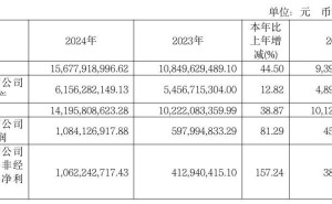 九号公司2024年营收大增近四成，电动两轮车等业务成增长引擎