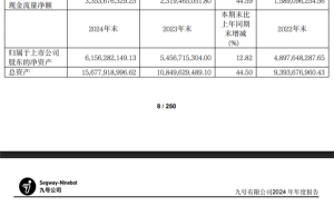 九号公司2024财报亮眼：电动车销量259万，净利润大涨超八成