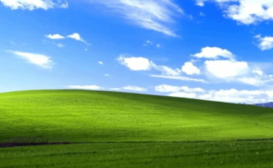 Windows XP经典壁纸背后的摄影师：百万设备展示，却憾失版税