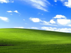 Windows XP经典壁纸背后的摄影师：百万设备展示，却憾失版税