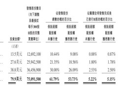 正力新能港股上市，曹德旺妹妹曹芳掌舵，市值达209亿港元