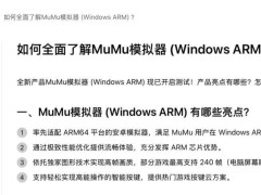 网易MuMu安卓模拟器Windows ARM版开启测试，游戏帧数飙升至240？