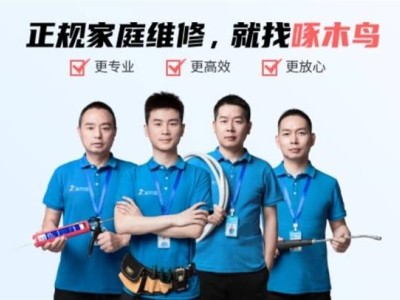 啄木鸟家庭维修乱象后，整改方案出炉：能否真正透明？