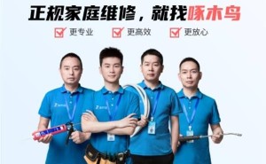 啄木鸟家庭维修乱象后，整改方案出炉：能否真正透明？