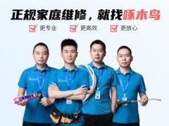 啄木鸟家庭维修乱象后，整改方案出炉：能否真正透明？