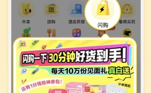 美团正式发布独立品牌“美团闪购”，此前非餐即时零售日单量已超1800万