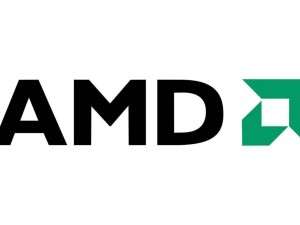AMD RX 9060XT非公版频率飙升，但显示端口仅3个，性能如何？