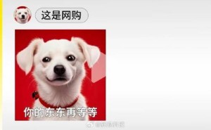 美团闪购来袭！即时零售市场再掀波澜，谁将主宰未来？