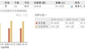 深圳新星2024年业绩揭晓：营收大增六成，亏损却翻倍，董事长五年未加薪