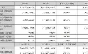 欢乐家2024年净利大跌，31岁副董李子豪年薪240万，与父共持冈比亚永居