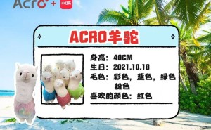 ACRO五一福利大放送，带玩偶打卡地标赢好礼！