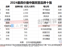 2024中国民营品牌十强揭晓，抖音登顶微信居次，小米华为重返榜单