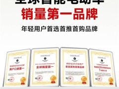 九号智能电动车引领全球，六冠加冕彰显智能出行新时代