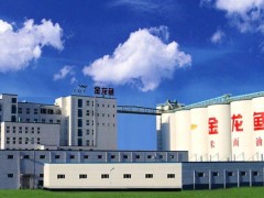 金龙鱼盈利困境：千亿粮油巨头能否跳出低利润魔咒？