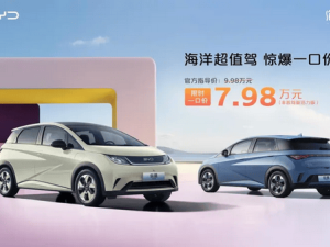 比亚迪海豚新招！2025款一口价7.98万，性价比超海鸥，能否再夺销冠？