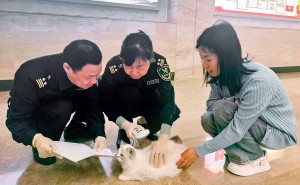 湖北宠物出境检疫“云办理”，萌宠通关快人一步！