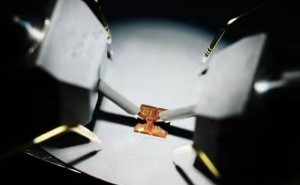 复旦突破！亚纳秒级闪存技术引领全新存储时代