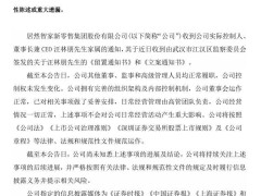 居然智家CEO汪林朋被留置，公司运营正常称已妥善安排