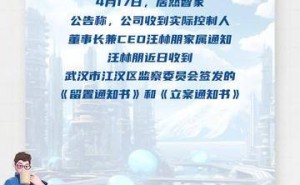 居然智家大新闻：实际控制人汪林朋被留置，公司何去何从？