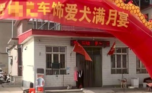 河北店铺为狗办满月宴，网友吵翻！主人回应：只因爱狗