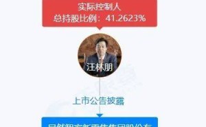 居然智家百亿董事长汪林朋被留置，公司未来何去何从？