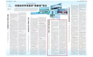 河南企业家IP矩阵：新商业时代的破局之道？