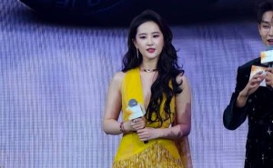 刘亦菲发布会谨慎发言：智驾变辅助，获赞有责任感
