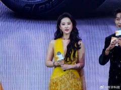 刘亦菲发布会谨慎发言：智驾变辅助，获赞有责任感