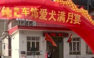 河北武安狗办满月宴，爱狗行为引热议：是真爱还是过火？
