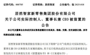 居然智家董事长汪林朋被留置，公司股价一字跌停引关注