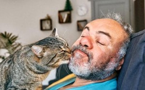 猫咪的“感恩”行动：五大暖心信号，你读懂了吗？