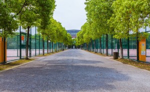 重庆大学2025强基计划大变局：储能科学新专业，入围更严挑战升级！