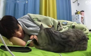 机智小猫发现家中水灾，急得站起来提醒主人：快看，洗衣机漏水啦！