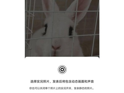 安卓用户沸腾！微信朋友圈终于支持发布实况照片