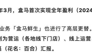 盒马首迎全年盈利，新CEO严筱磊领航，百店扩张计划蓄势待发