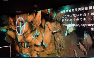 大阪世博会，中国光峰科技引领硬科技潮流惊艳全球