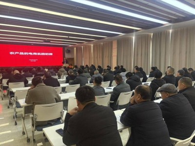 拼多多赋能曲周农业，342名村支书共探数字电商新路径