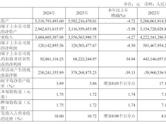 极米科技2024年营收下滑4% 净利1.2亿 钟波股权比例降至27%