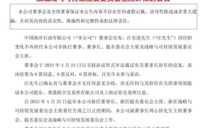 中国海油董事长汪东进宣布辞任，副董事长周心怀将临时主持工作