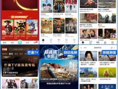 超高清时代启航：广电总台与9省市卫视及6大平台共筑视听新篇章